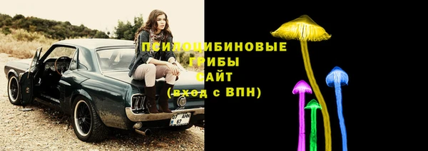 СК Зеленодольск