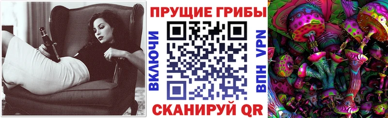 Галлюциногенные грибы мицелий где купить мега ТОР Костерёво